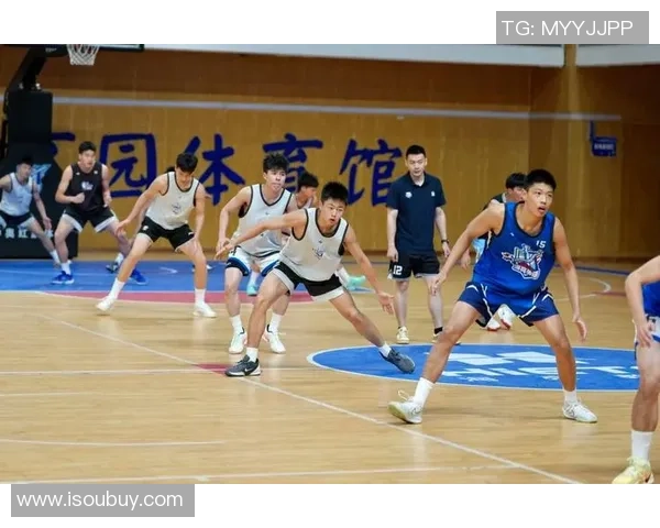 篮球个人能力排行榜揭晓北京篮球队荣登第五名展现实力与潜力